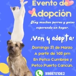 Únete a Nuestro Evento de Adopción de Mascotas